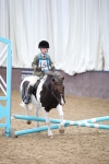SBM_000729