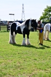 SBM_09481