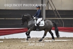 BPP_9229