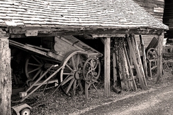 Traditional Black & White portfolio