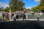 140926-Race 4-Lamlash Bay-3222