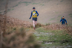Black Combe-883