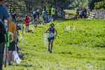 The Finish-1431