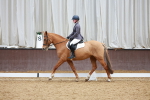 SBM_003818