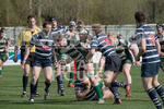 Guernsey v Westcombe Park-1