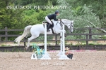 BPP_1598