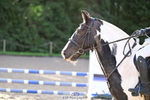 260412A-093351-00049