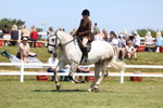 3E7A9119