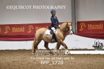 BPP_1720