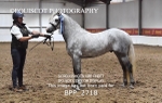 BPP_2718