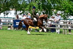 SBM_07905