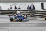 GKMC Hillclimb_29-05-2017_KART-48