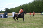 WJ6_5913