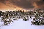 Winters Grip