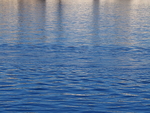 P93002890555
