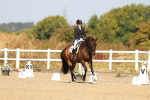 SBM_017675