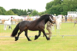 SBM_00481