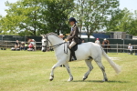 SBM_07607