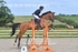 BPP_5687