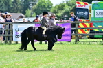 SBM_05765