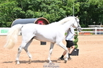 Trot Up 1pm to 2pm portfolio