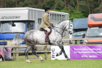 SBM_12661