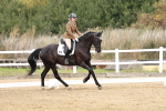 SBM_018263