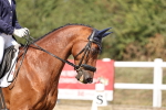 SBM_018661