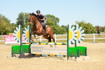 SBM_006533