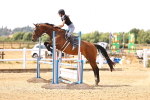 SBM_000536