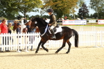 SBM_46296