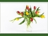 VASE OF TULIPS by Sylvia Adams