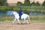 WJ7_7006