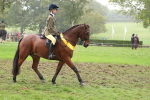 Ridden Pony Supreme Championship portfolio