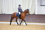SBM_001175