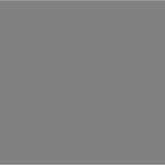 3rd Print Reddish Egret Mike Cullis