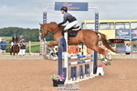 Cls 8 British Novice & 90cm Open portfolio