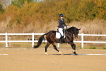 SBM_009217