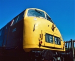 18th May 2008