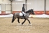 BPP_8358