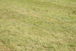 SBM_10293