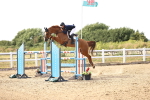 SBM_004699
