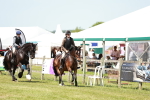 SBM_16438