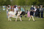 20260426-1246