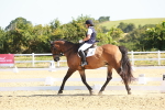 SBM_009600