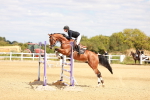 SBM_006589