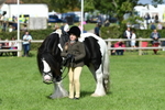 SBM_46986