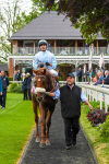 190523-Race 4-Giavellotto-0616
