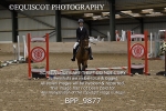 BPP_9877