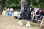 WJ6_8915
